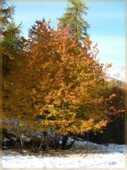 img_5292-border.jpg