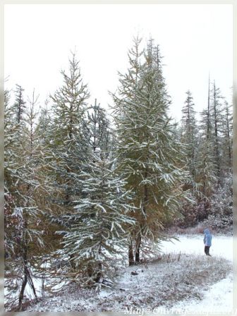 img_5135-border.jpg
