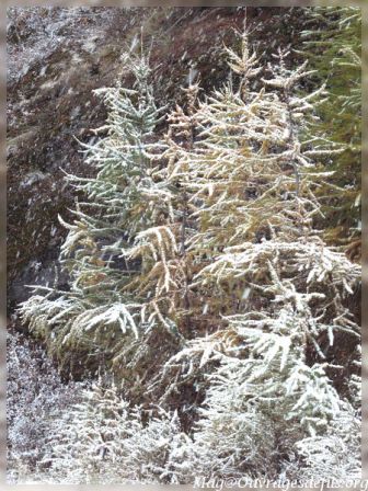 img_5137-border.jpg
