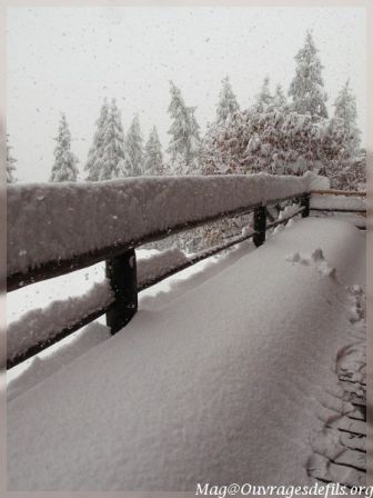 img_5143-border.jpg