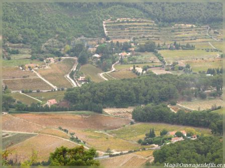 img_5337-border.jpg