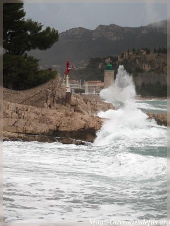 img_5352-border.jpg