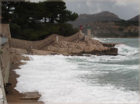 img_5354-border.jpg