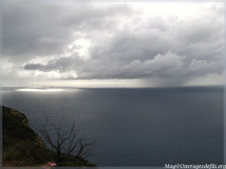 img_5356-border.jpg