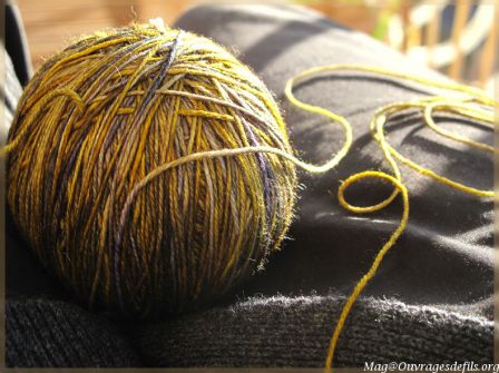 img_6469-border.jpg