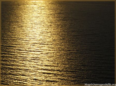 img_6168-border.jpg