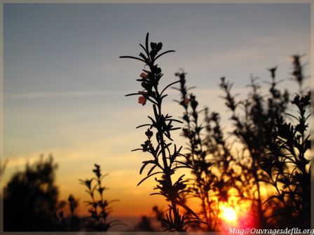 img_6188-border.jpg