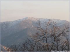 img_6520-border.jpg