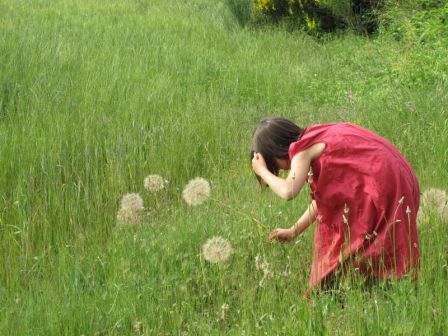 , juin 2009