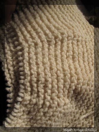 img_4025-border.jpg, janv. 2010