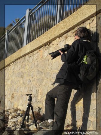 img_4158-border.jpg, fév. 2010