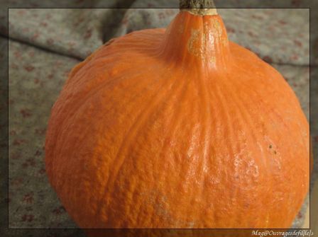 img_3349-border.jpg, nov. 2009