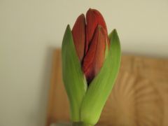 , mai 2009