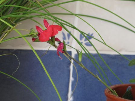 , mai 2009